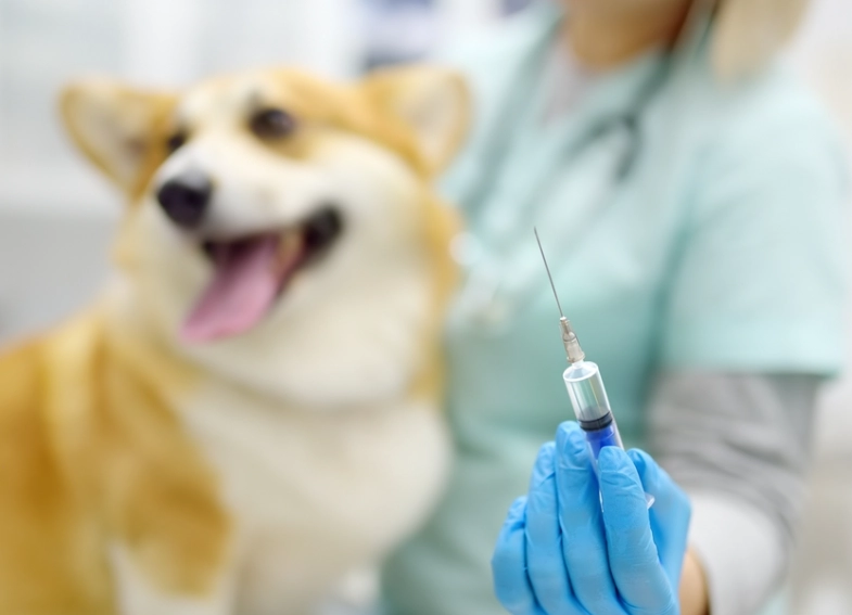 狗狗疫苗接種頻率