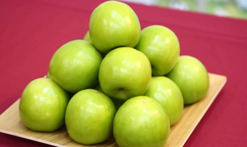 蜜棗熱量 蜜棗熱量