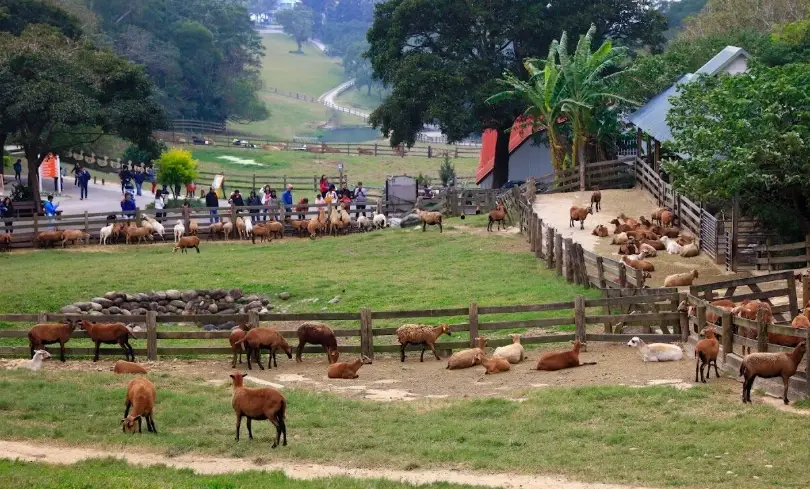 苗栗長輩旅遊 苗栗長輩旅遊