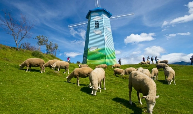 清境農場住宿 清境農場住宿