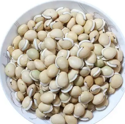 白扁豆不能和什麼一起吃？中醫師與營養師聯手破解飲食禁忌迷思