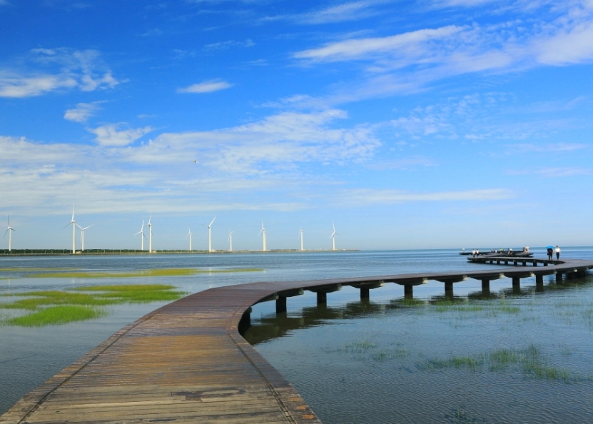 台中一日遊 台中一日遊