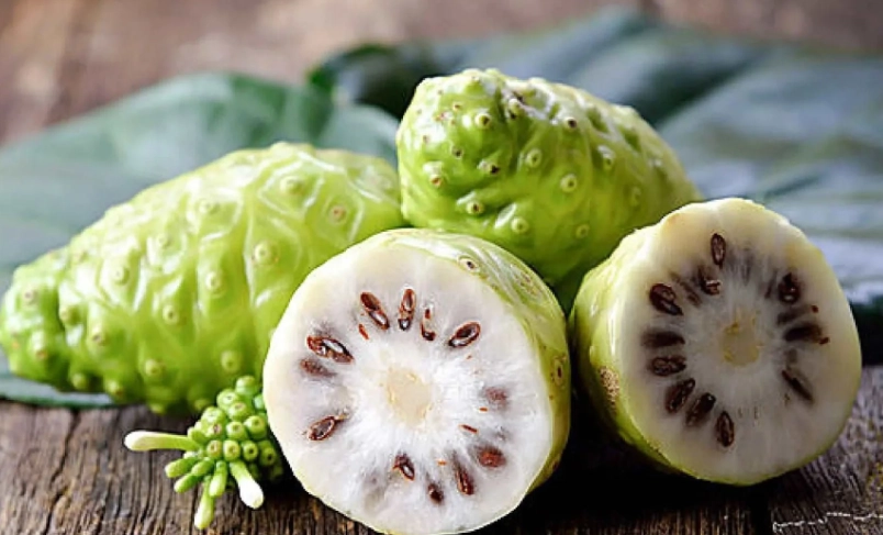 諾麗果酵素功效與禁忌 諾麗果酵素功效與禁忌