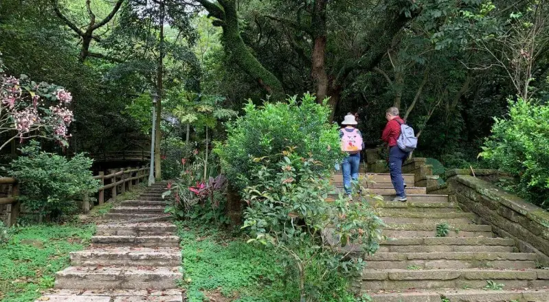 捷運登山步道推薦 捷運登山步道推薦