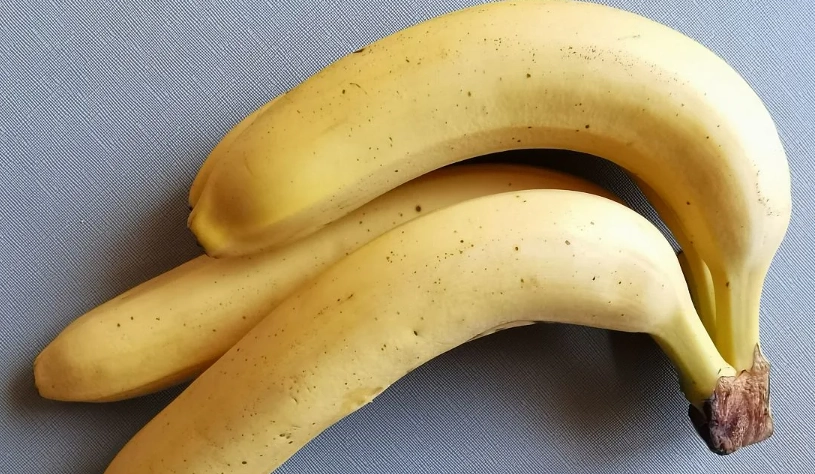 狗狗 水果 安全 狗狗 水果 安全