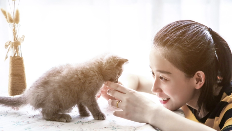 貓咪喜歡的人特質