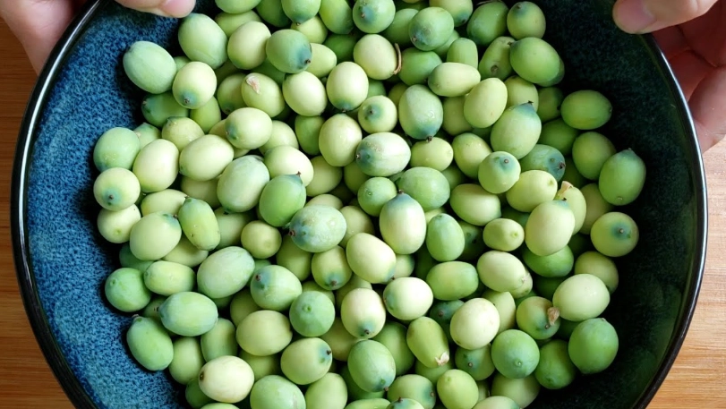 新鮮蓮子怎麼保存 新鮮蓮子怎麼保存