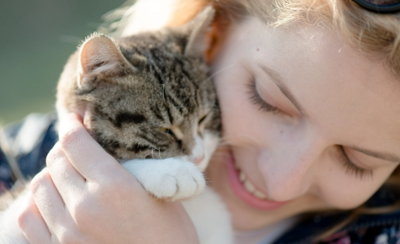 如何讓貓咪喜歡你