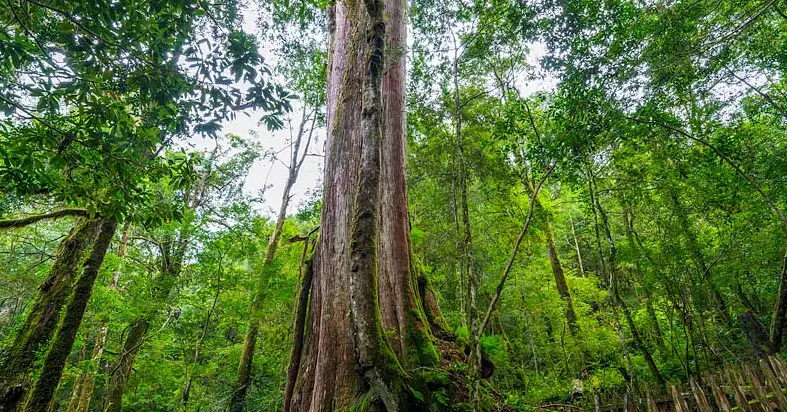 新竹山上住宿 新竹山上住宿