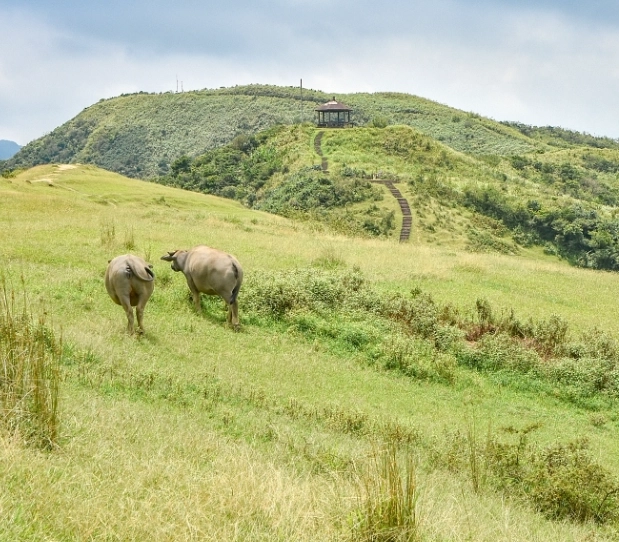 桃源谷步道大溪線