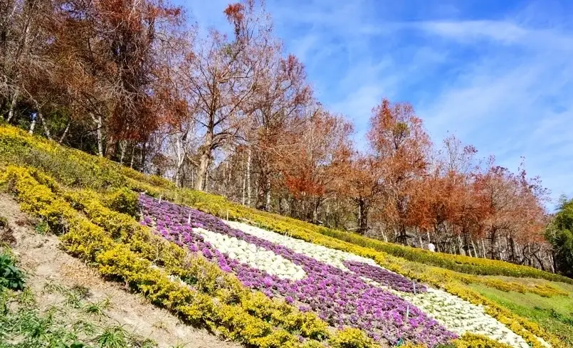 日月潭行程 日月潭行程