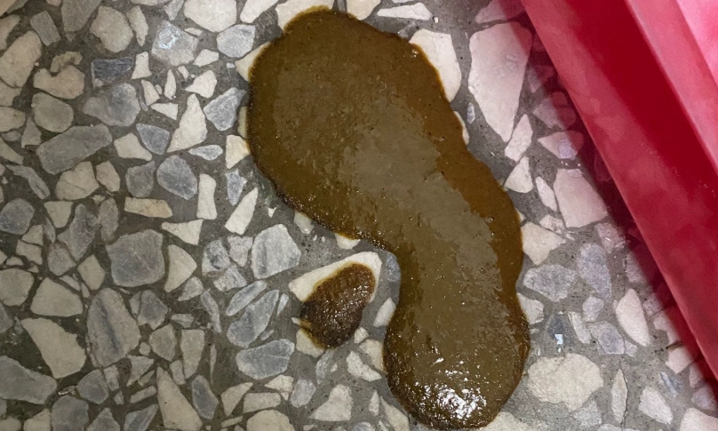 貓咪緊急救護 貓咪緊急救護