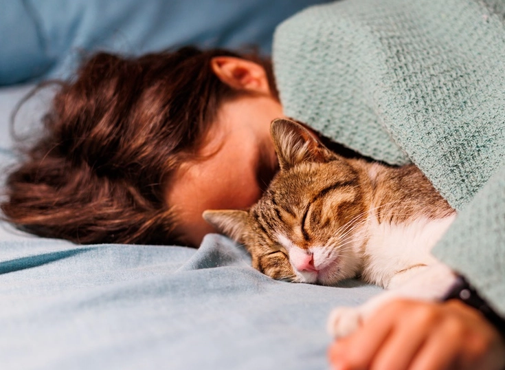 貓咪睡覺流口水正常嗎