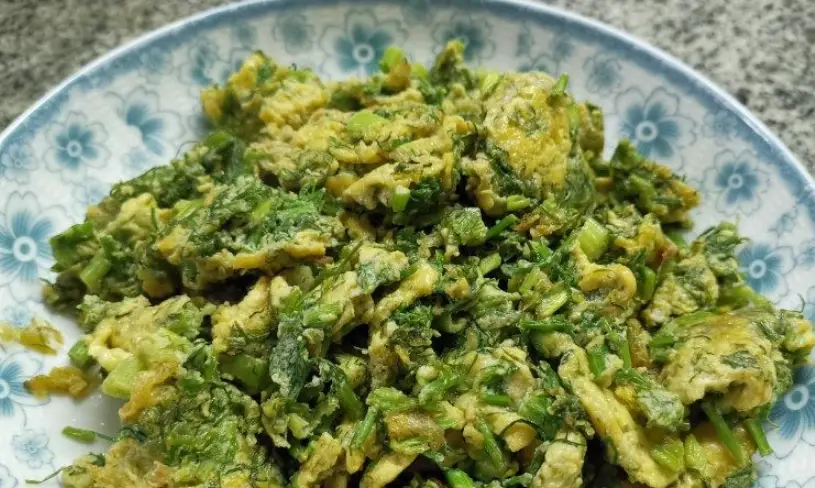 茴香菜 處理 方法 茴香菜 處理 方法