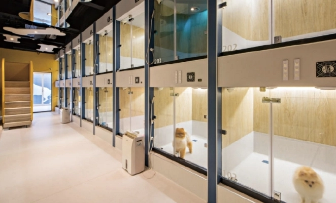 台中寵物安親班 台中寵物安親班