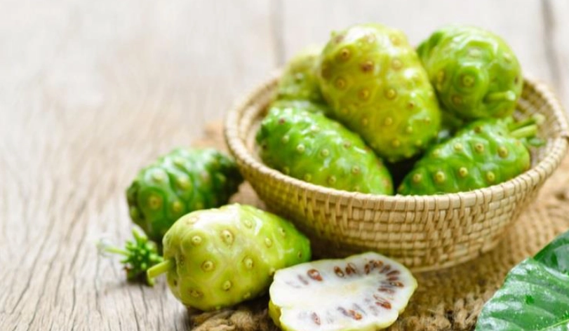 諾麗果酵素安全嗎 諾麗果酵素安全嗎