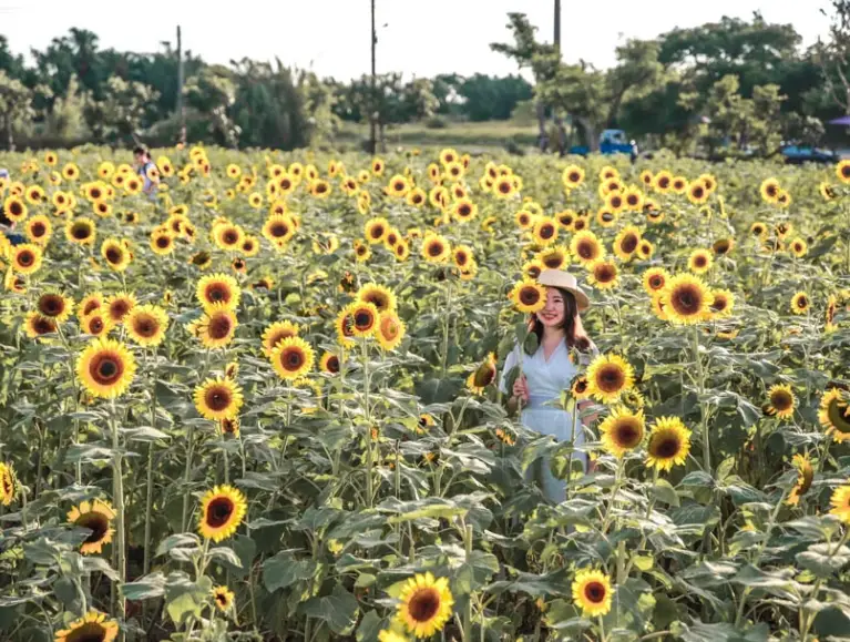 桃園適合行動不便老人旅遊景點