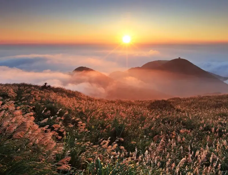 台灣自由行攻略 台灣自由行攻略