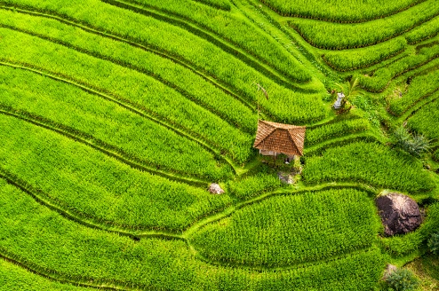 京打馬尼火山 京打馬尼火山