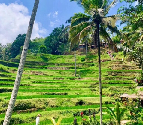 峇里島景點推薦