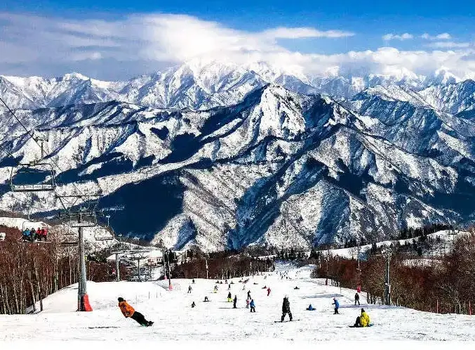 日本滑雪場推薦