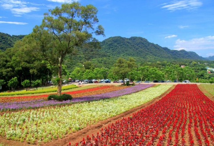 輪椅友善景點桃園