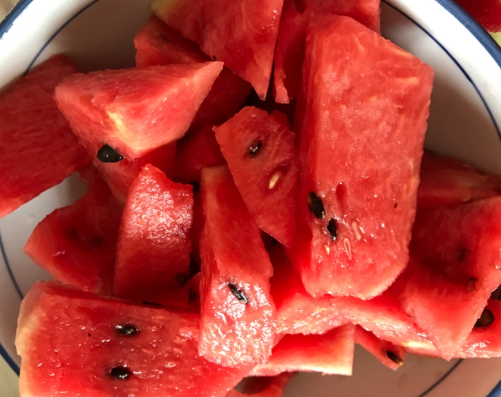 貓咪飲食安全 貓咪飲食安全