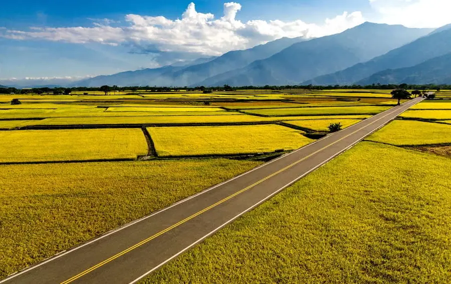 台灣自由行攻略 台灣自由行攻略