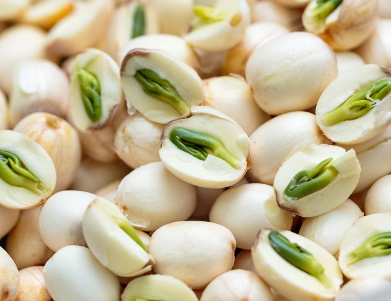 蓮子去苦芯 蓮子去苦芯