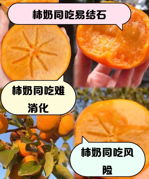 柿子牛奶中毒