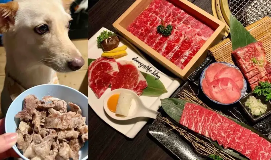 宜蘭燒肉寵物友善