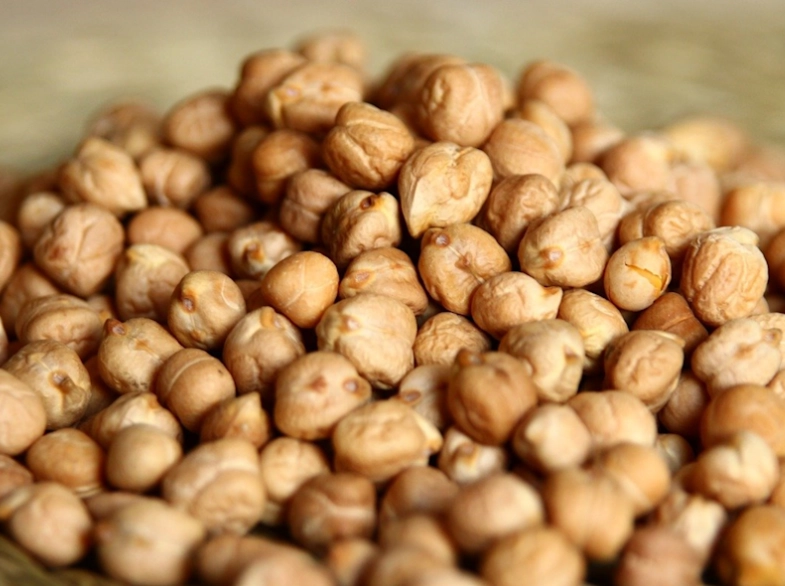 鷹嘴豆禁忌 鷹嘴豆禁忌