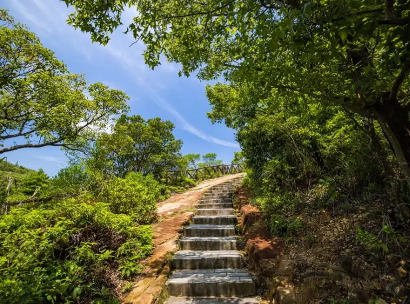 台北親子步道 推車 台北親子步道 推車