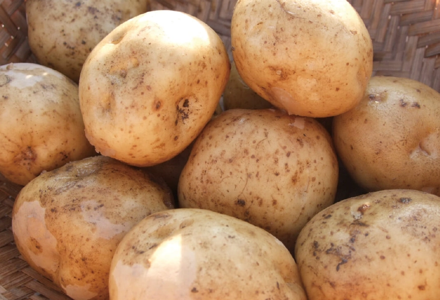 馬鈴薯怎麼吃最健康