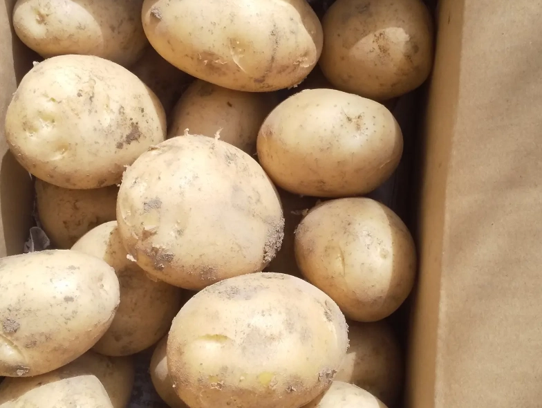 馬鈴薯削皮器選購 馬鈴薯削皮器選購