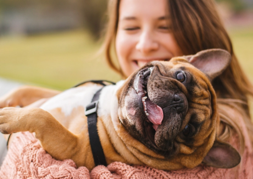 台灣動物保護 台灣動物保護
