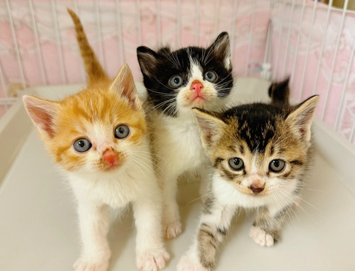 親子景點 親子景點