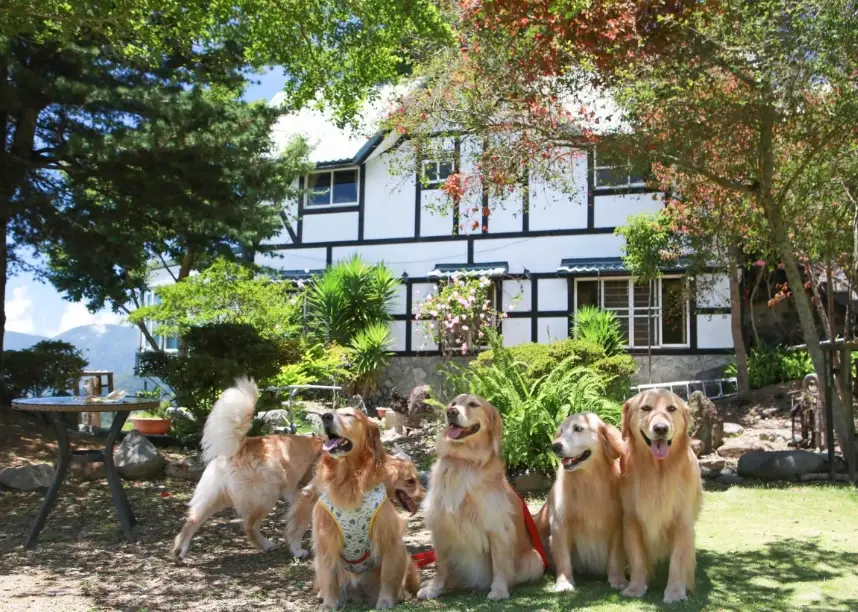 一泊三食 寵物友善