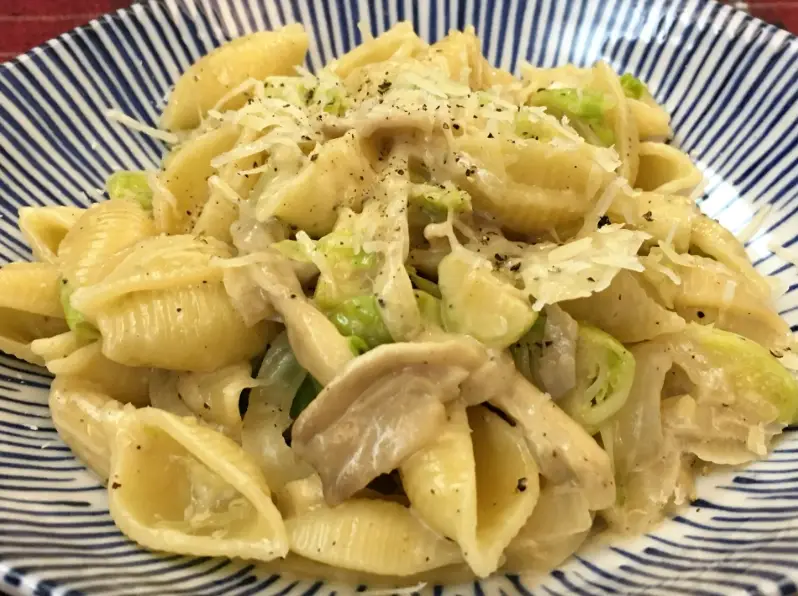 貝殼麵煮法 貝殼麵煮法