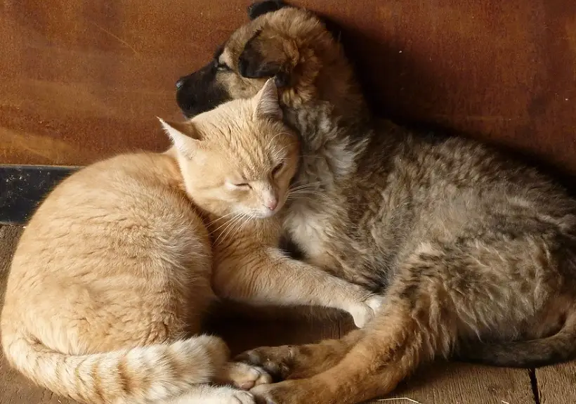 親子景點 親子景點