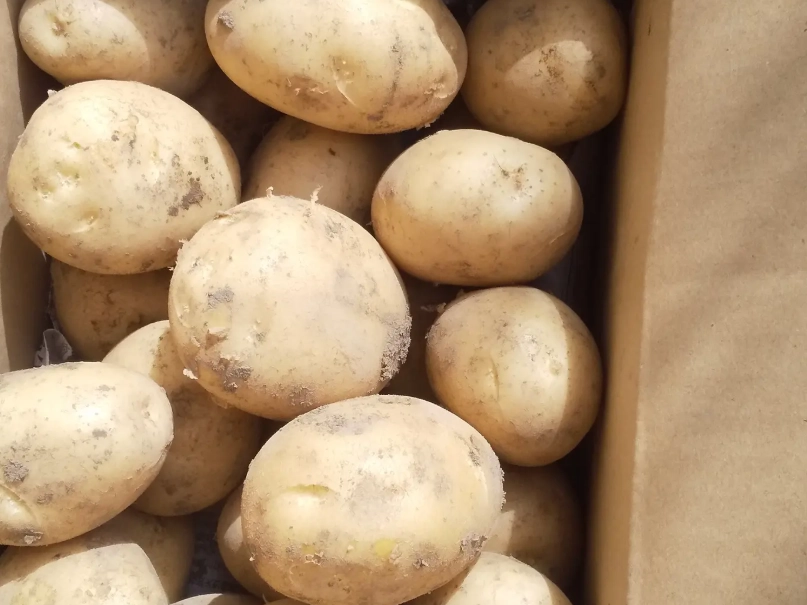 馬鈴薯營養價值