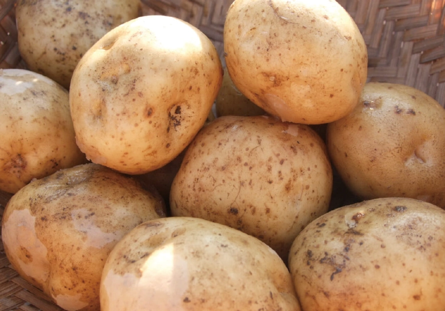 馬鈴薯削皮器選購 馬鈴薯削皮器選購