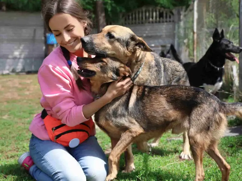 台灣動物保護 台灣動物保護