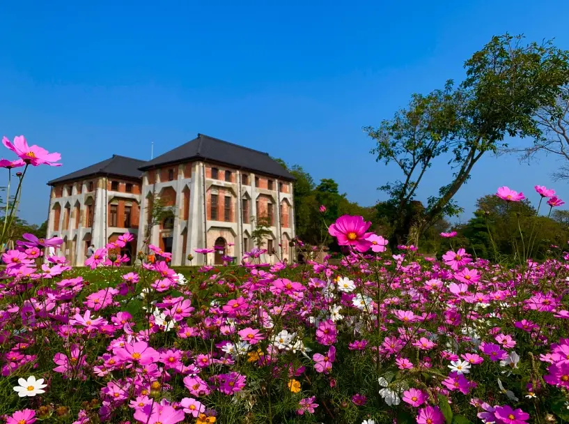 療癒景點 推薦 療癒景點 推薦