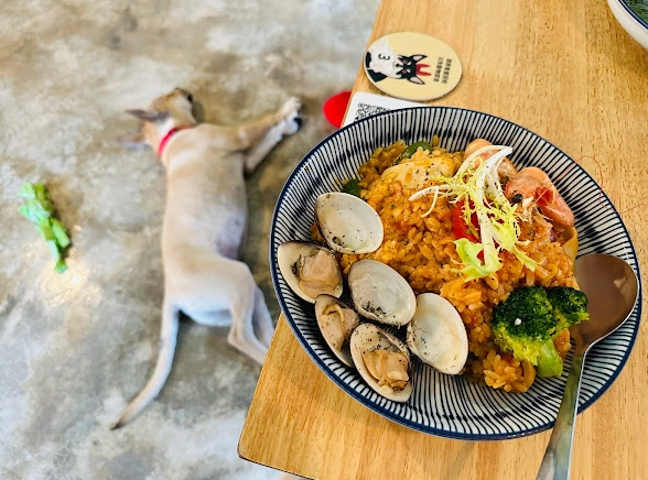 新竹寵物友善餐廳