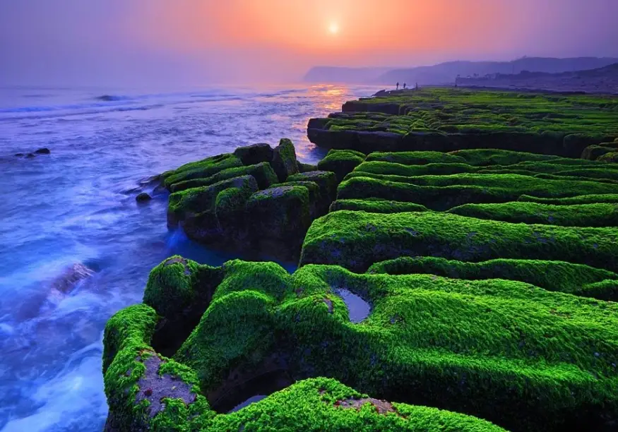 台灣療癒景點 台灣療癒景點