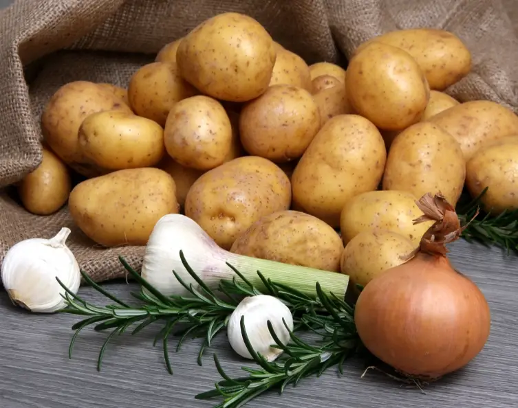 馬鈴薯安全處理