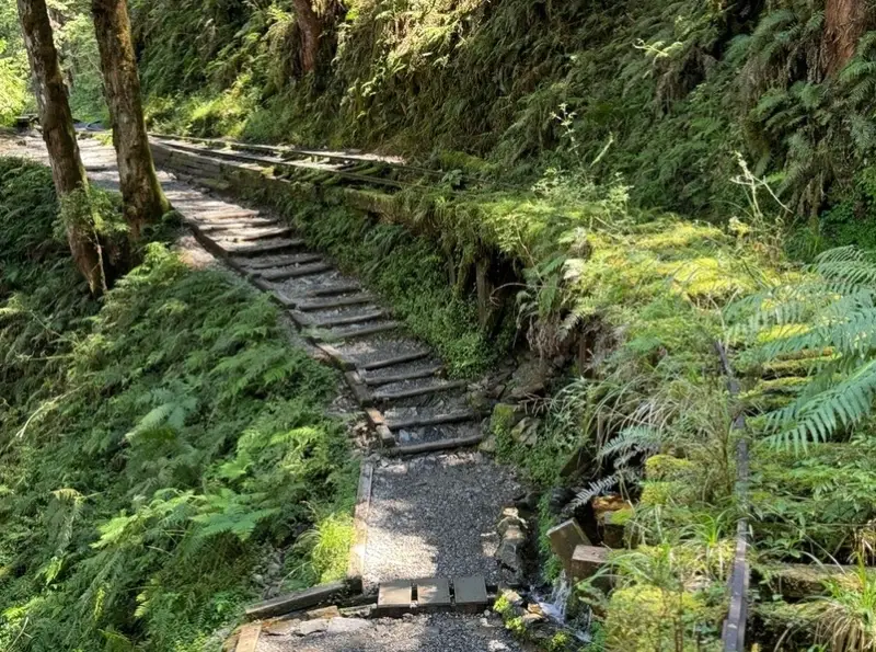 療癒景點 推薦 療癒景點 推薦