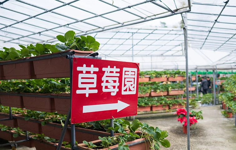 台北親子農場 台北親子農場