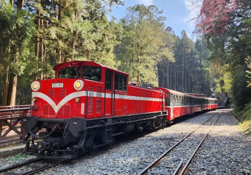 阿里山森林遊樂區